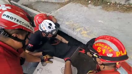 PCNL rescata a lomito atrapado en alcantarilla en Monterrey (VIDEO)