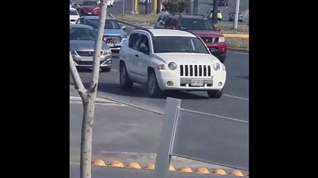 ¡Paseo de los Leones otra vez! Conductor se detiene y conduce en reversa (VIDEO)