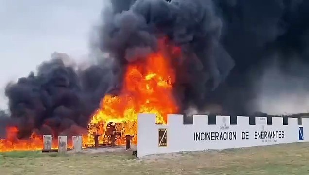 Fiscalía incinera narcóticos en Reynosa