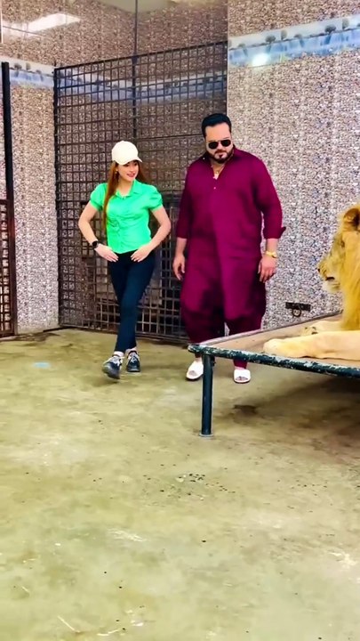 Sher Dekhna Ha #ytshorts Mian saqib #lion #animals miya bhai
