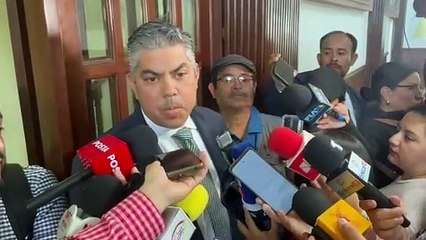 Renuncia de Ancira impulsa proceso de reestructuración en AHMSA: Alfredo Paredes