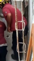 Víbora de 2 metros se esconde en patio de una casa de Escobedo (VIDEO)