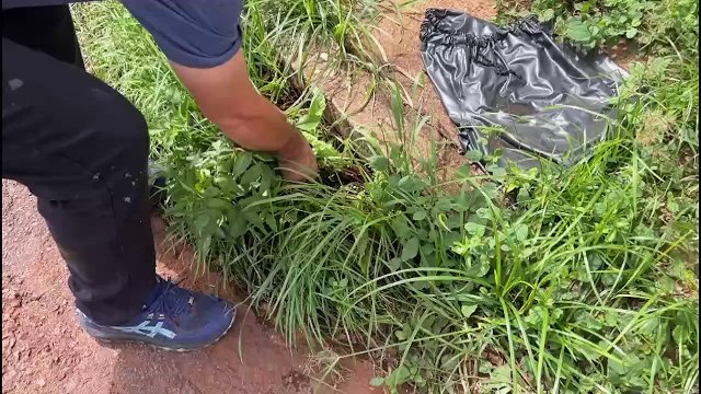 Improviso no Jardim Colonial: Moradores colocam galhos para sinalizar buracos