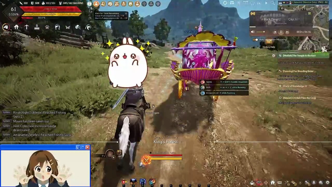 An average day in Heidel -
