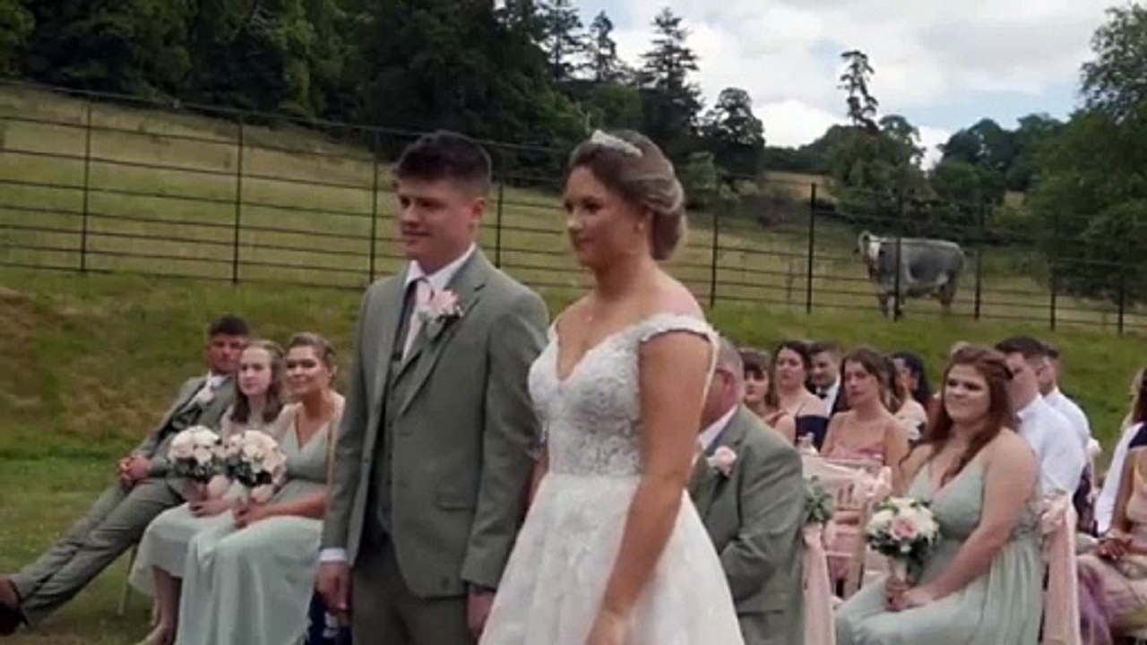 Vaca se opone a boda y causa risas a los novios e invitados (VIDEO)