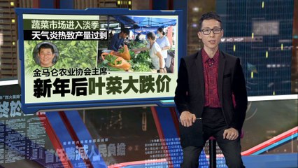 新年后蔬菜市场进入淡季，叶菜价格大幅下跌🌱