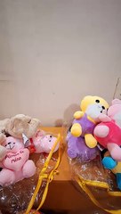 Unboxing and Review Funzoo mini cutie bear and Funzoo rooky bear