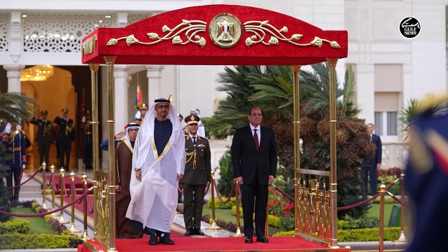 UAE President arrives in Cairo for official visit, meets with Egyptian President