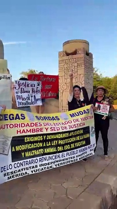 ¡No más Rufos!, animalistas piden justicia por casos de maltrato animal