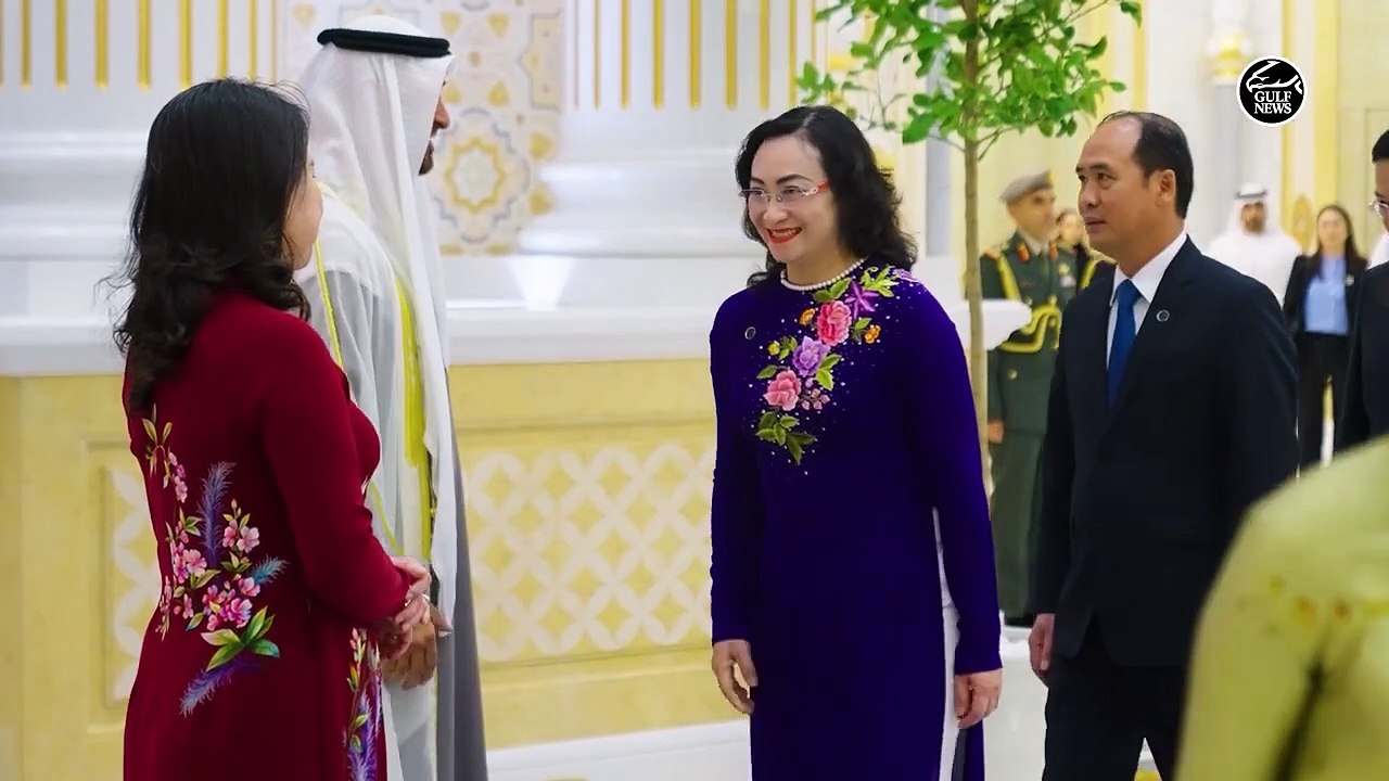 UAE President and Vietnamese Vice President meet to discuss bilateral relations