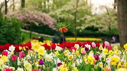 The TravelSmart guide to the best spring holidays