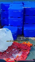 Un empresa ha comenzado a vender hielo de glaciar del Artico a bares de Dubai