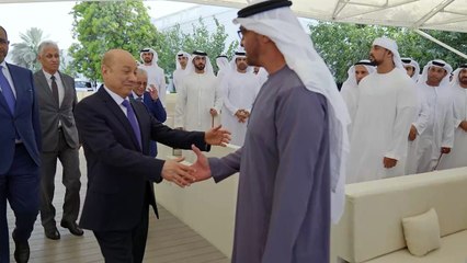 UAE President meets Chairman of Yemen’s Presidential Leadership Council