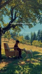 6c1be1b742c64574a4ee0b442d5c2490