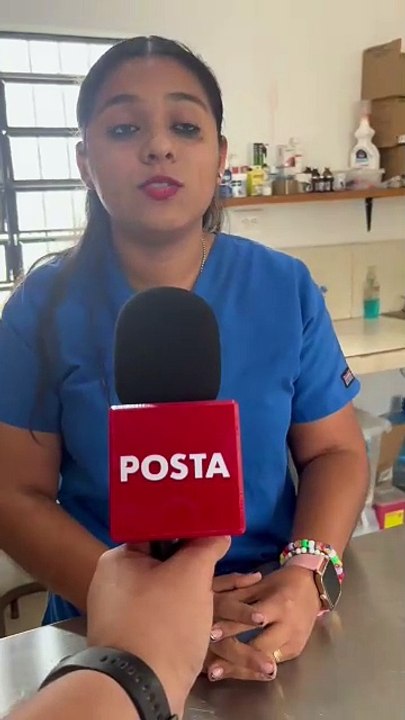 Criar perros y gatos de la calle puede causar enfermedades