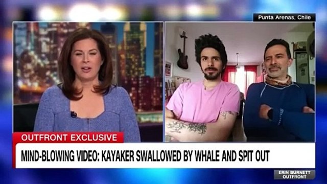 Kayaker describes being swallowed and spit out by whale