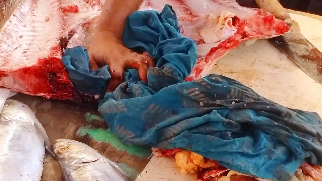 Emperor Fish Cutting at Fish Market – Fresh Fish Cleaning & Filleting Skills