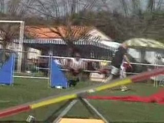 Rock Star chute Agility selec GPF 2008