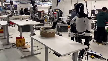 Elon Musk presume a Optimus y su forma de doblar una camisa (VIDEO)