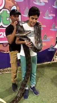 ¿Verdadero o falso? Mitos de las serpientes en Yucatán