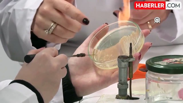Türk bilim insanları uçak yakıtında yeni bir bakteri cinsi keşfetti