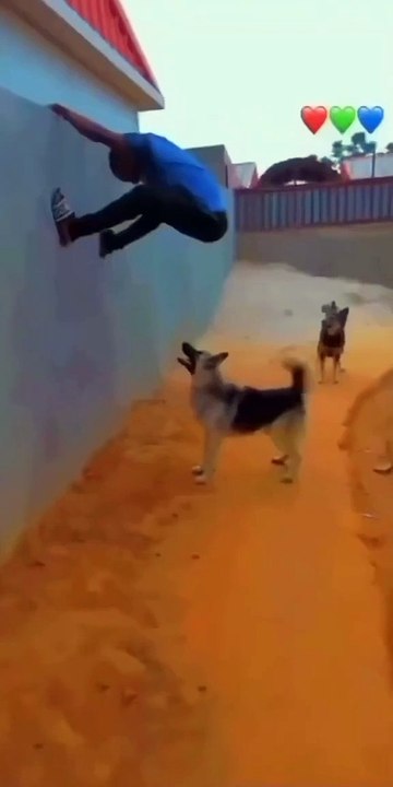 Funny video and Comedy