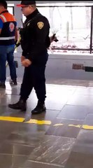 Can deambula dentro del metro en la estación Potrero y sale sano y salvo