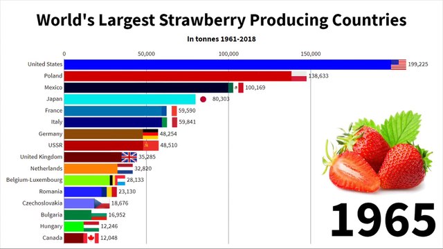 18 - World's Largest Strawberry Producing Countries