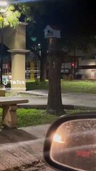 ¿Es un cuerpo? Joven se lleva susto en San Nicolás (VIDEO)