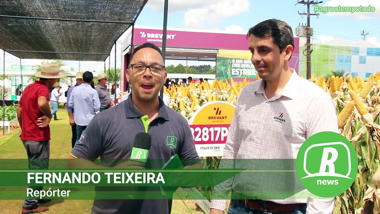 Novidades para o milho safrinha foram destaques da Corteva no Show Rural