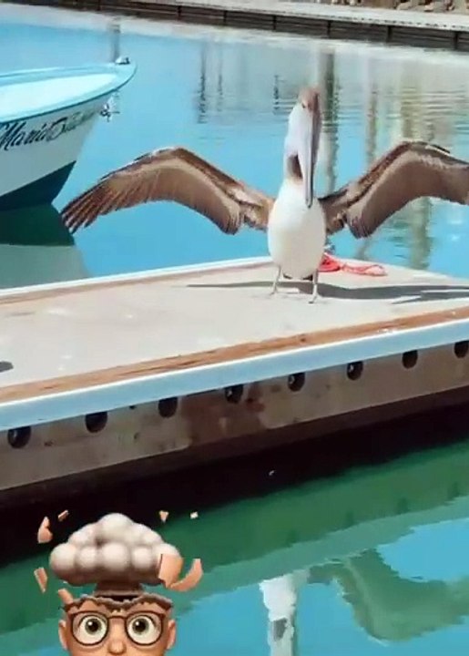 Federica de Kabah va a Los Cabos a ver a las ballenas