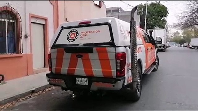 Protección Civil atiende incidente de árbol caído en San Pedro, sin lesionados