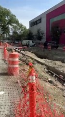 Siguen detenidos los trabajos  del corredor verde en avenida Ocampo