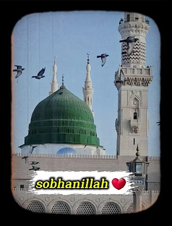 Islamic Digest | Islamic stutas | Islamic videos