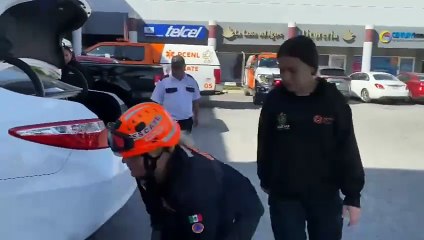 Protección Civil rescata a gato atrapado en auto en Monterrey (VIDEO)