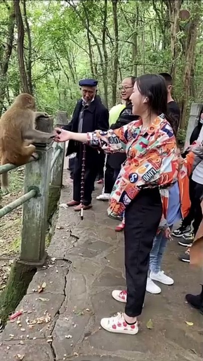 Funny video