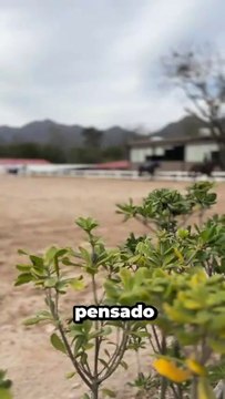 ¿Quieres aprender a montar a caballo en Nuevo León? Aquí te decimos dónde