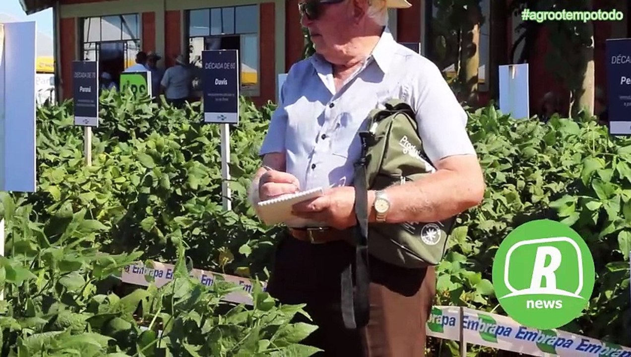 Produtor entende que biológicos deve estar integrados ao manejo, afirma executivo da Biotrop