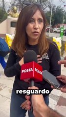 ¿Buscas adoptar un perrito? aquí te decimos cómo y los requisitos