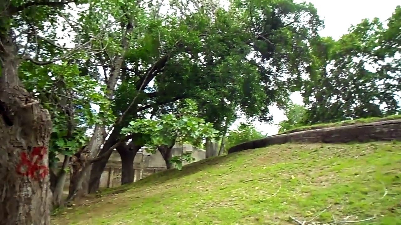 CPA Leonardo Fabio PT1