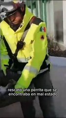 Rescata PC del frío a perrita pero muere de paro respiratorio en Monterrey