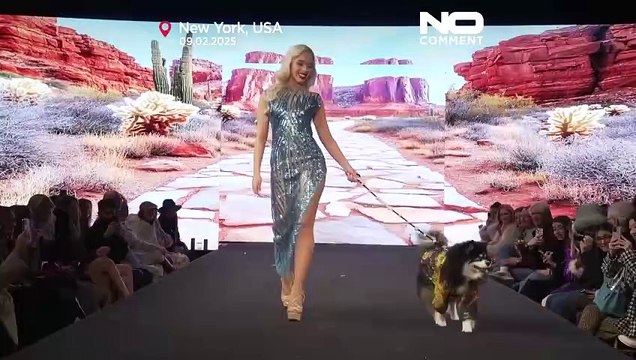Sfilata di alta moda per animali domestici alla settimana della moda di New York