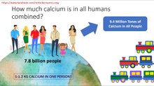 How much calcium is in all humans combinated?