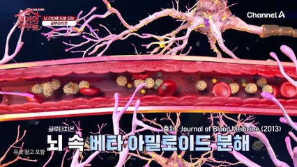 뇌 건강에 도움 되는 성분, 이미 우리 모두가 가지고 있다?! 노화뿐만 아니라 뇌와 전신 건강에도 도움이 된다는 '이것'은?