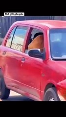 Being handsome makes you have many lovers!