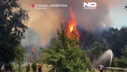 Gli incendi hanno devastato le foreste della Patagonia