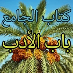 بلوغ المرام ( 119) تعديل اسم المؤلف ابن حجر