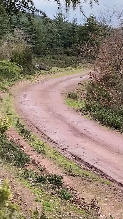 Korku Yolu