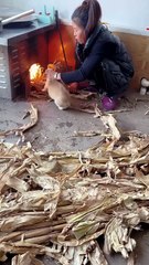 Funny Moments of Cat & Dog Bosses - Episode 24 |  Meow & Woof Universe