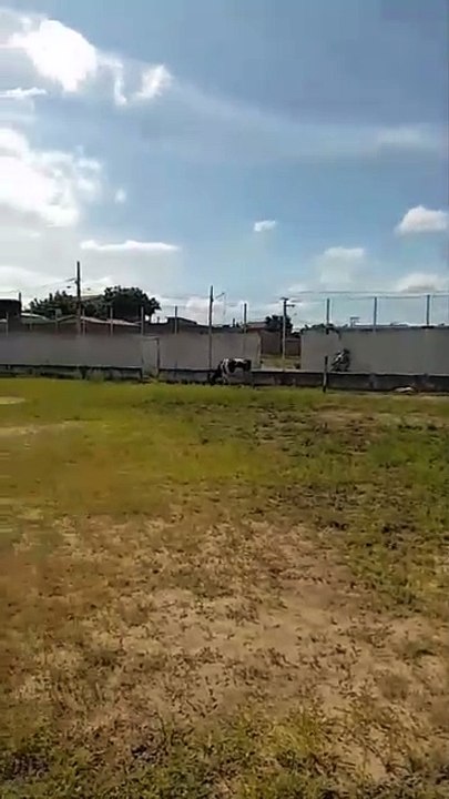 Desportistas reclamam do abandono do campo de futebol dos Sapateiros, em Patos; representante da ONG responsável pelo espaço garante melhorias